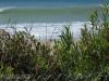 Image: Tanktop - Leo Carillo Campout 2008 79.JPG