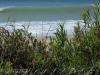 Image: Tanktop - Leo Carillo Campout 2008 79.JPG