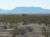 Image: Tucson-Nogalas 2008 006.JPG